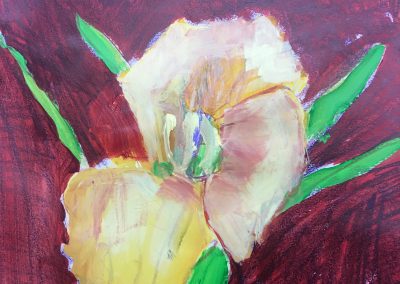 Japanese_Iris_12x8_colored_pencil_on_paper